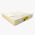 تشک کویین (آپادانا 6)