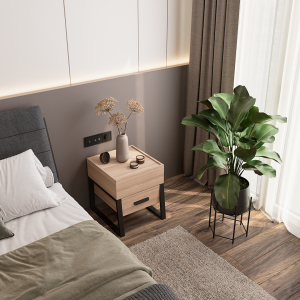 پاتختی رامونا - Image 3